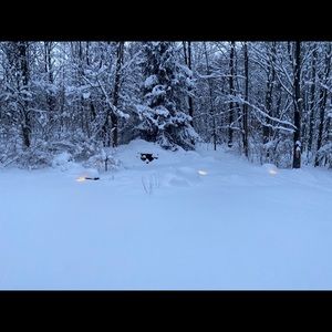 Meet your Posher, Halley